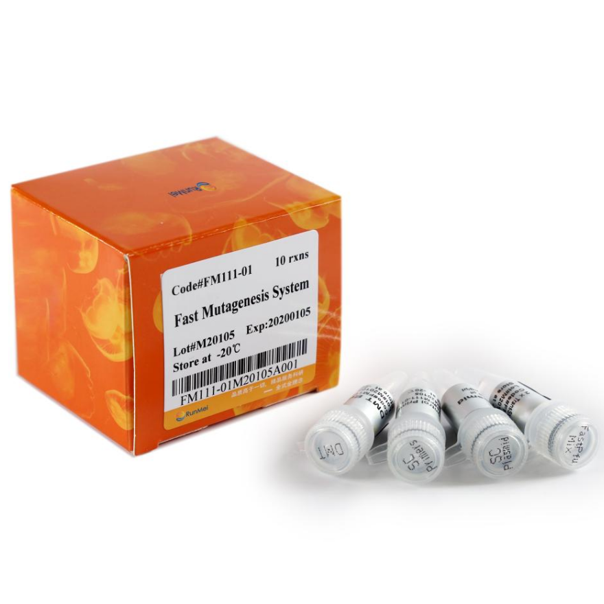 Fast Mutagenesis System & Fast MultiSite Mutagenesis System